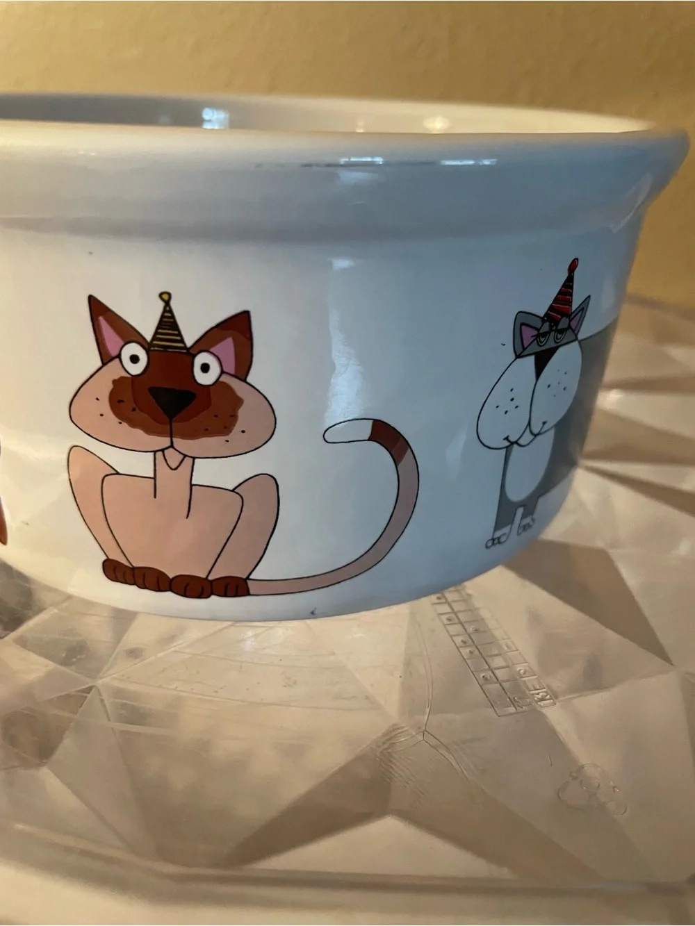 Ursula Dodge Cat Party Cat Dish